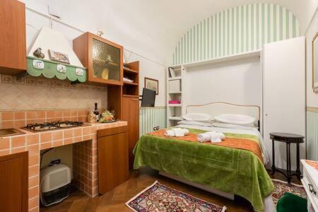 Tanasa Design Appartement *